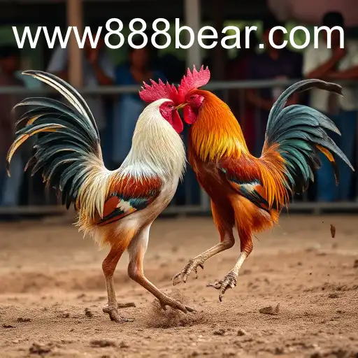 The Digital Transformation of Sabong: 888bear.com at the Forefront